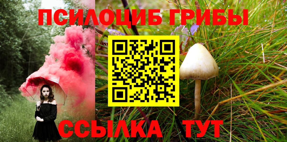 Галлюциногенные грибы Cubensis  Псилоцибиновые грибы MAGIC MUSHROOMS  Вход с VPN  даркнет сайт  Можга 